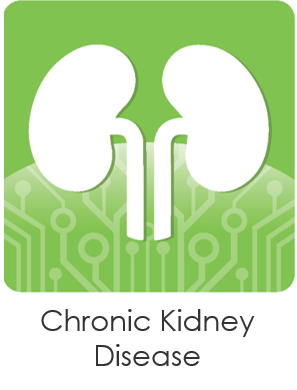 Chronic Kidney Disease custom form